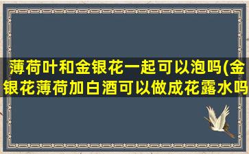 薄荷叶和金银花一起可以泡吗(金银花薄荷加白酒可以做成花露水吗)