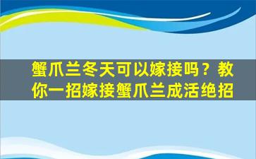 蟹爪兰冬天可以嫁接吗？教你一招嫁接蟹爪兰成活绝招