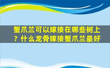 蟹爪兰可以嫁接在哪些树上？什么龙骨嫁接蟹爪兰最好