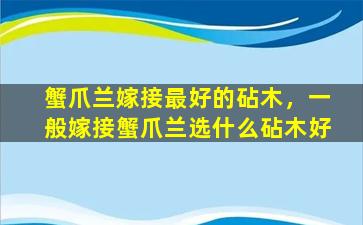 蟹爪兰嫁接最好的砧木，一般嫁接蟹爪兰选什么砧木好