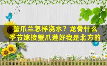 蟹爪兰怎样浇水？龙骨什么季节嫁接蟹爪莲好我是北方的