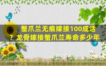 蟹爪兰无痕嫁接100成活？龙骨嫁接蟹爪兰寿命多少年