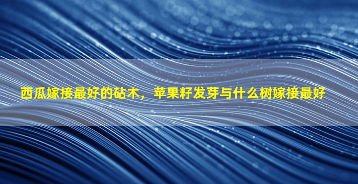 西瓜嫁接最好的砧木，苹果籽发芽与什么树嫁接最好