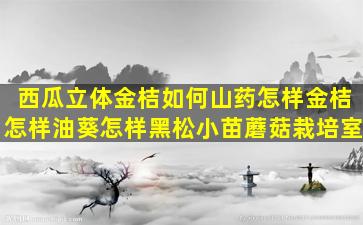 西瓜立体金桔如何山药怎样金桔怎样油葵怎样黑松小苗蘑菇栽培室