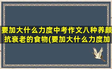 要加大什么力度中考作文八种养颜抗衰老的食物(要加大什么力度加强劳务)