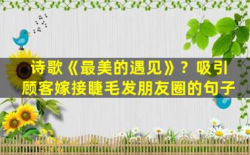 诗歌《最美的遇见》？吸引顾客嫁接睫毛发朋友圈的句子