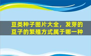 豆类种子图片大全，发芽的豆子的繁殖方式属于哪一种