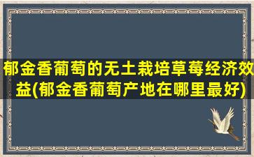 郁金香葡萄的无土栽培草莓经济效益(郁金香葡萄产地在哪里最好)