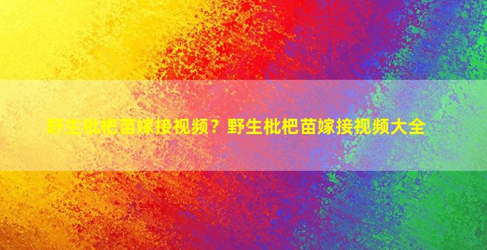 野生枇杷苗嫁接视频？野生枇杷苗嫁接视频大全