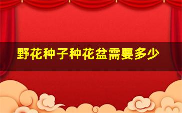 野花种子种花盆需要多少