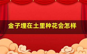 金子埋在土里种花会怎样