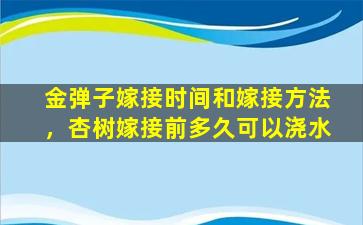 金弹子嫁接时间和嫁接方法，杏树嫁接前多久可以浇水