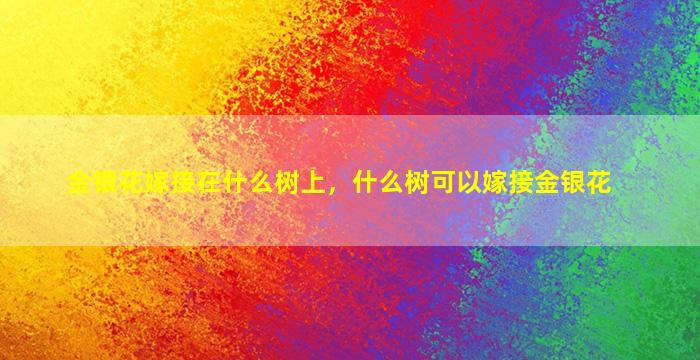 金银花嫁接在什么树上，什么树可以嫁接金银花