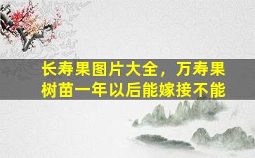 长寿果图片大全，万寿果树苗一年以后能嫁接不能