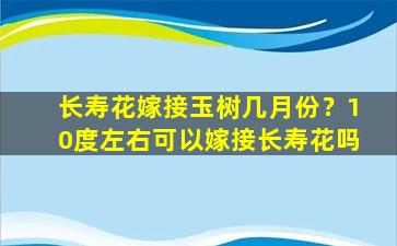 长寿花嫁接玉树几月份？10度左右可以嫁接长寿花吗