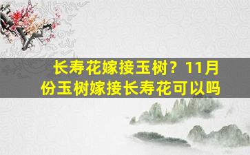 长寿花嫁接玉树？11月份玉树嫁接长寿花可以吗