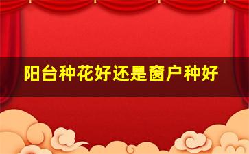 阳台种花好还是窗户种好