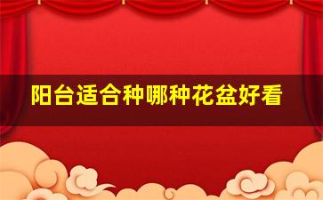 阳台适合种哪种花盆好看