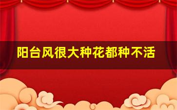 阳台风很大种花都种不活