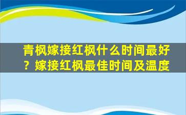 青枫嫁接红枫什么时间最好？嫁接红枫最佳时间及温度