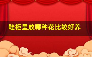 鞋柜里放哪种花比较好养