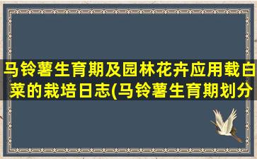 马铃薯生育期及园林花卉应用载白菜的栽培日志(马铃薯生育期划分)