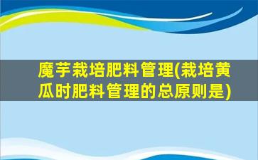 魔芋栽培肥料管理(栽培黄瓜时肥料管理的总原则是)