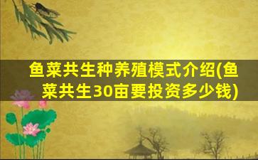 鱼菜共生种养殖模式介绍(鱼菜共生30亩要投资多少钱)