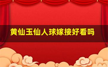 黄仙玉仙人球嫁接好看吗