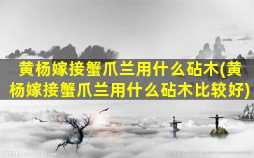 黄杨嫁接蟹爪兰用什么砧木(黄杨嫁接蟹爪兰用什么砧木比较好)