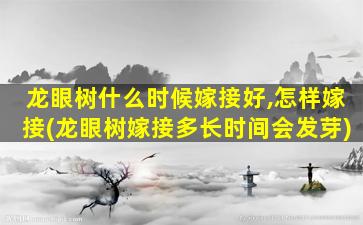 龙眼树什么时候嫁接好,怎样嫁接(龙眼树嫁接多长时间会发芽)